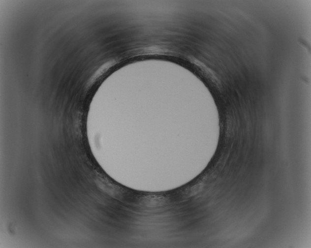 X0000091911314200709051203