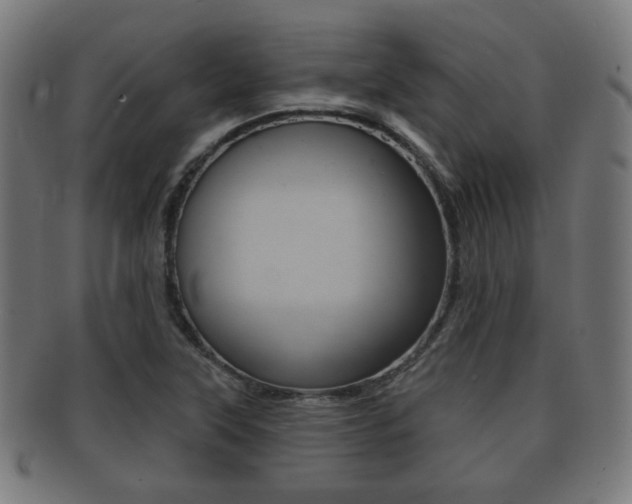 X0000091911315200709051203