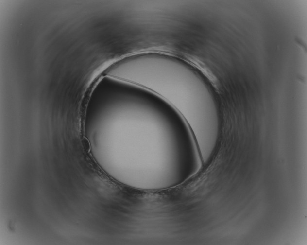 X0000091911316200709051203