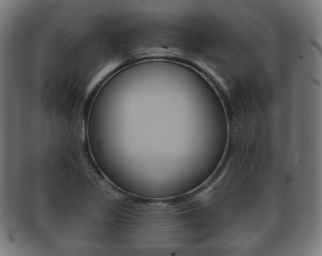 X0000091911317200709051203