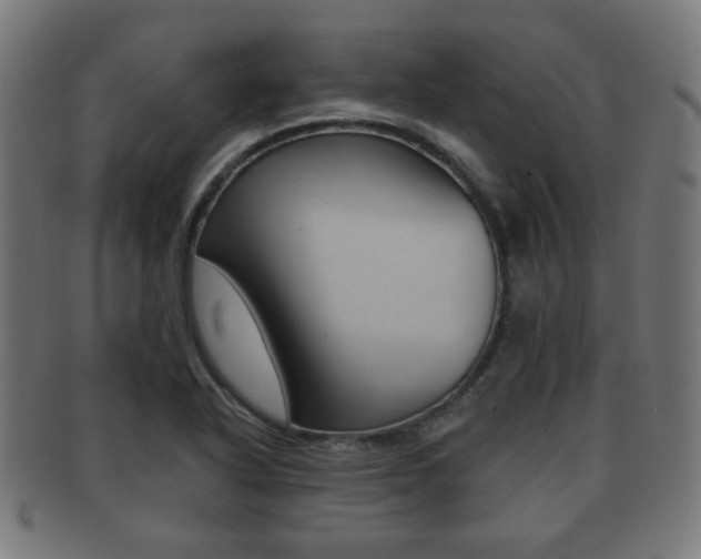 X0000091911318200709051203