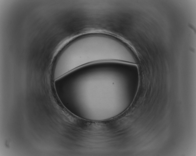 X0000091911319200709051204