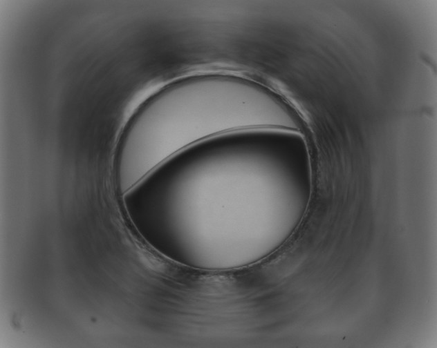 X0000091911320200709051204