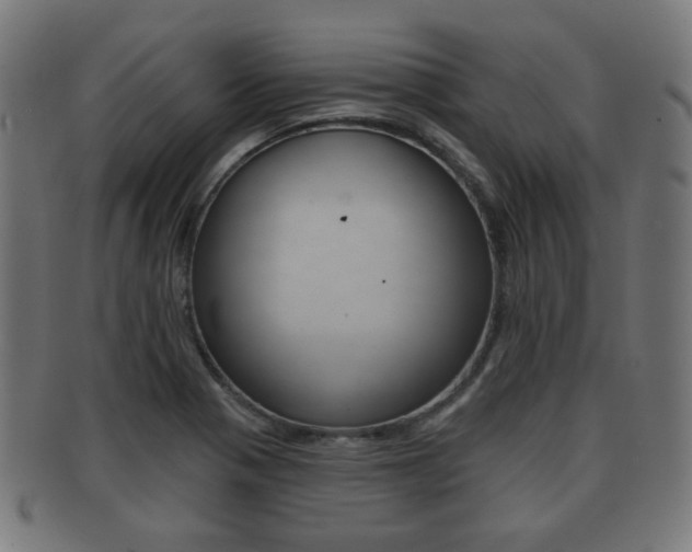 X0000091911321200709051204