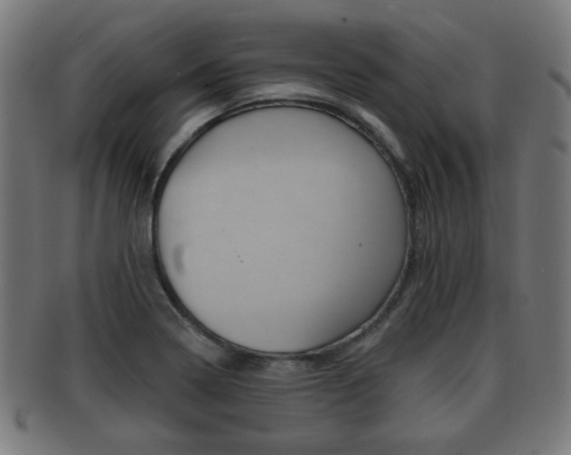 X0000091911322200709051204