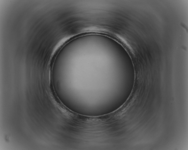 X0000091911323200709051204