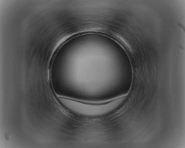 X0000091911324200709051204