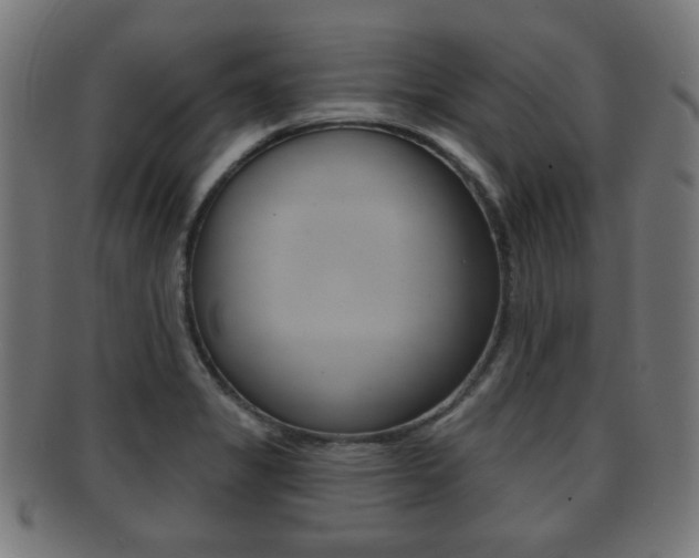 X0000091911325200709051204