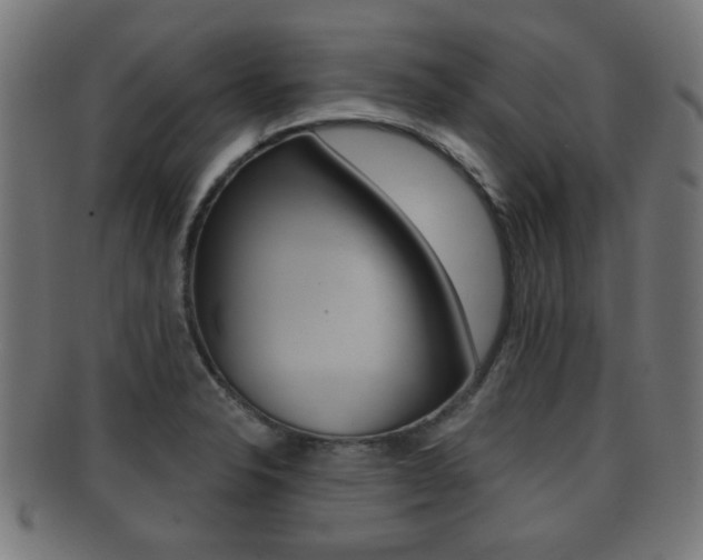 X0000091911326200709051204