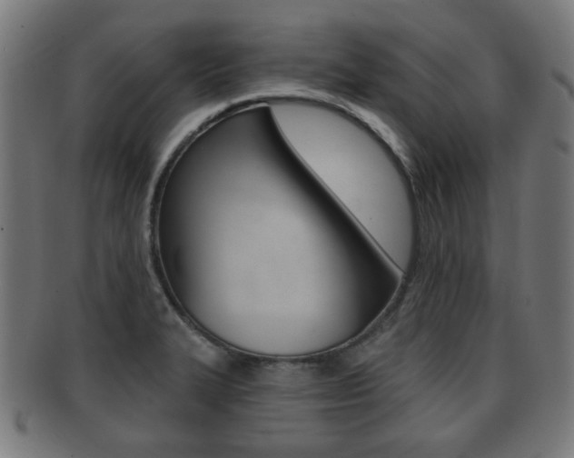 X0000091911327200709051204
