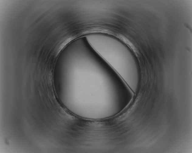 X0000091911329200709051204