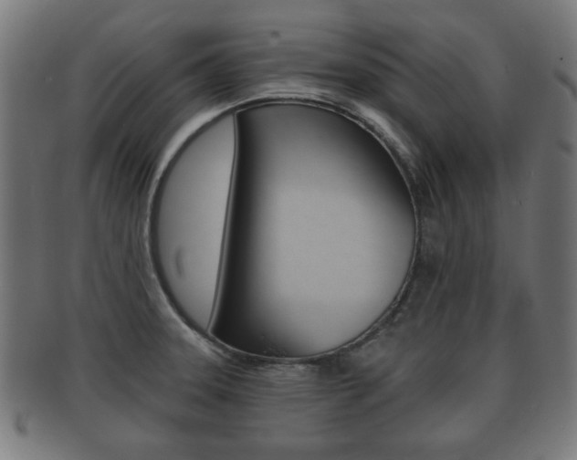 X0000091911331200709051204