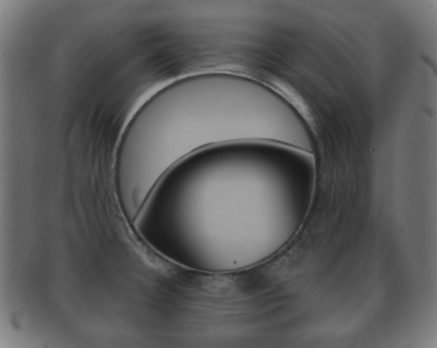X0000091911332200709051204