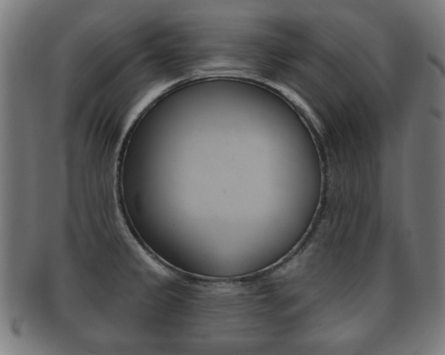X0000091911333200709051204