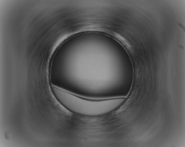 X0000091911334200709051204