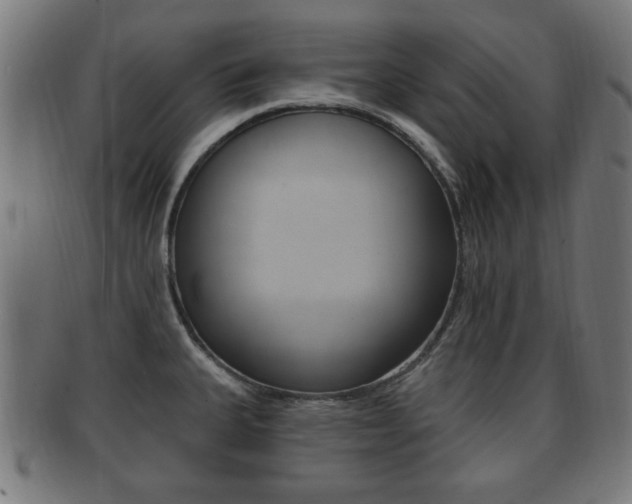 X0000091911335200709051204