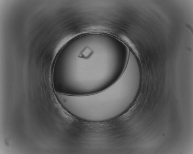 X0000091911336200709051204