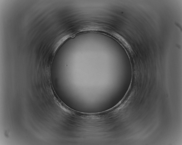X0000091911337200709051204