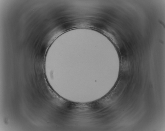 X0000091911338200709051204