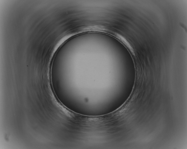 X0000091911339200709051204