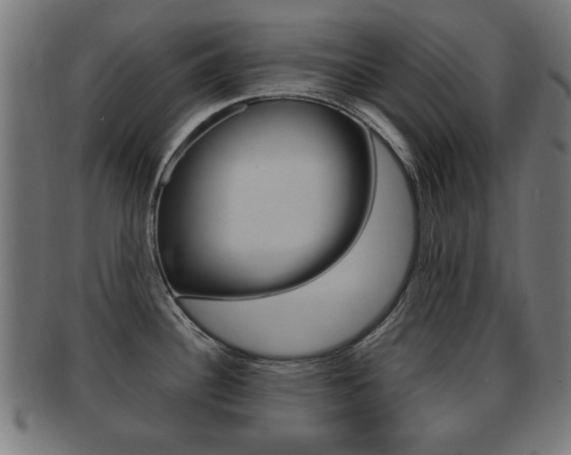 X0000091911340200709051204