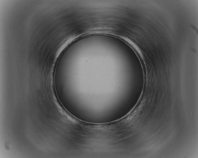 X0000091911341200709051204