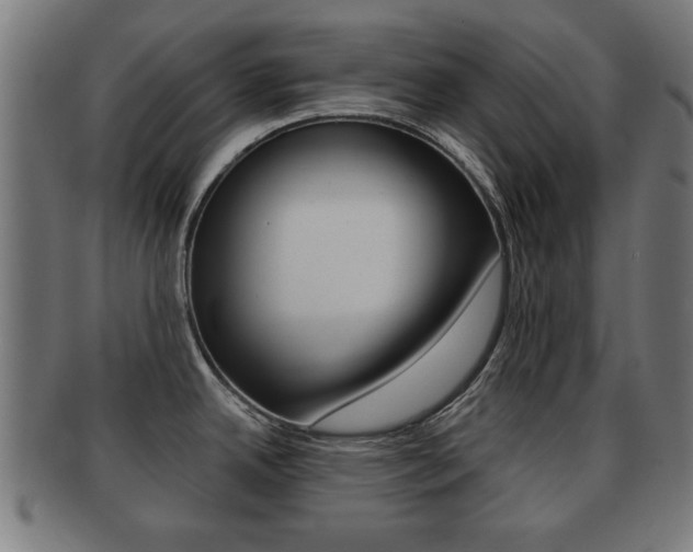 X0000091911342200709051204