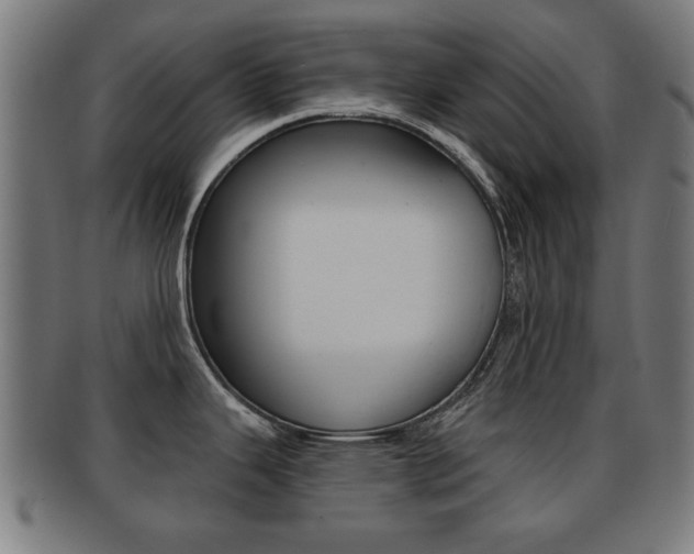 X0000091911343200709051204