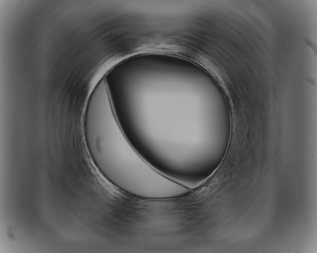 X0000091911344200709051204