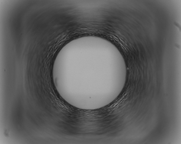 X0000091911345200709051203