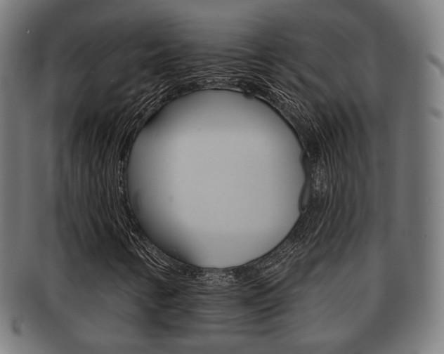X0000091911346200709051203
