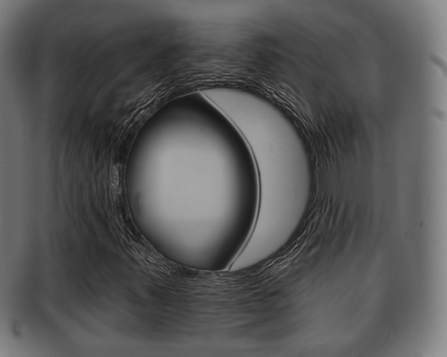 X0000091911347200709051203