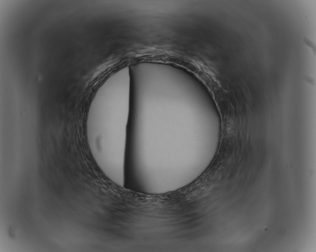 X0000091911350200709051203