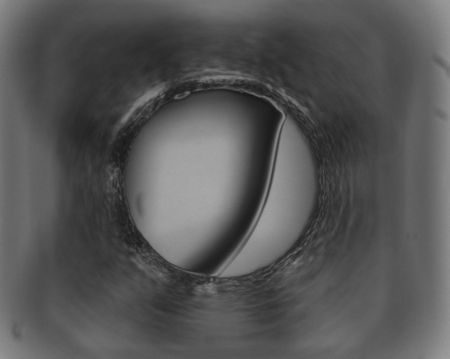 X0000091911351200709051203