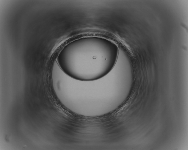 X0000091911352200709051203