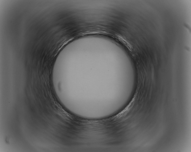 X0000091911353200709051203