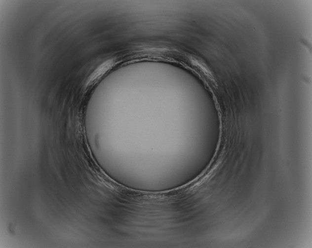 X0000091911354200709051203