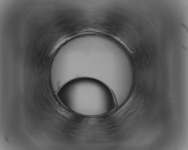 X0000091911355200709051203