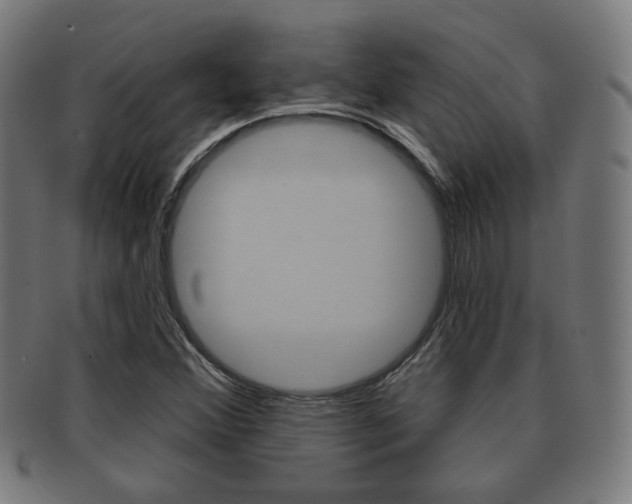 X0000091911356200709051203