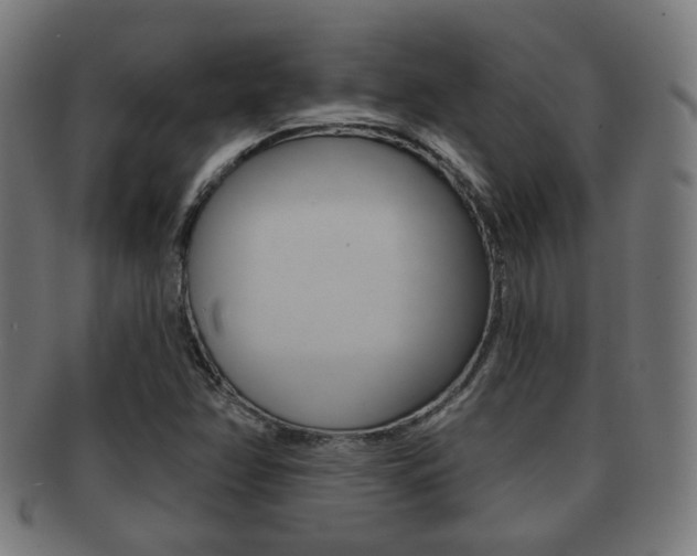 X0000091911358200709051203