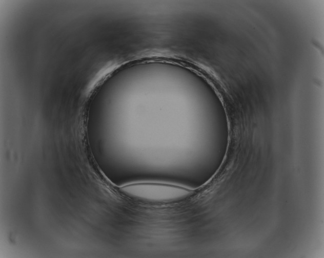 X0000091911359200709051203