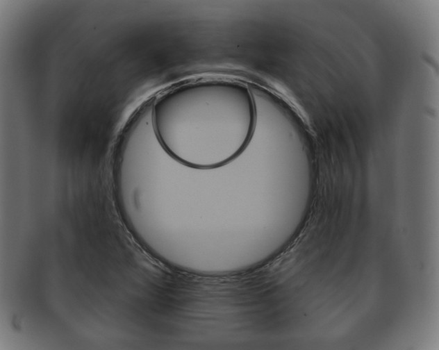 X0000091911360200709051203