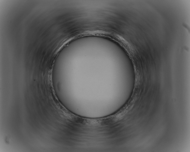 X0000091911361200709051203