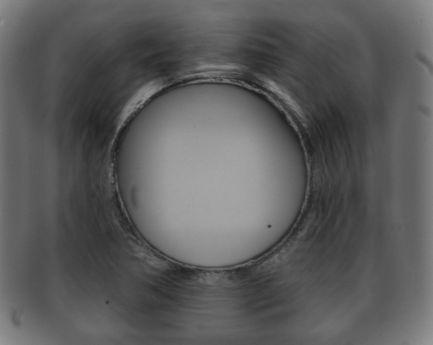 X0000091911362200709051203
