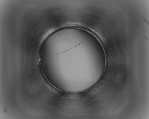 X0000091911363200709051203
