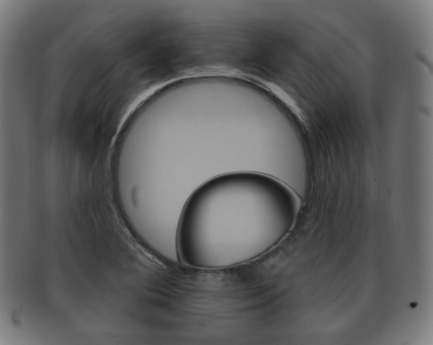 X0000091911364200709051203