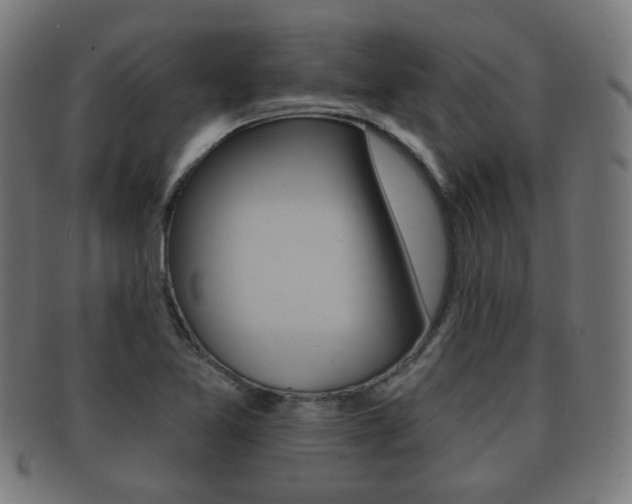 X0000091911365200709051203