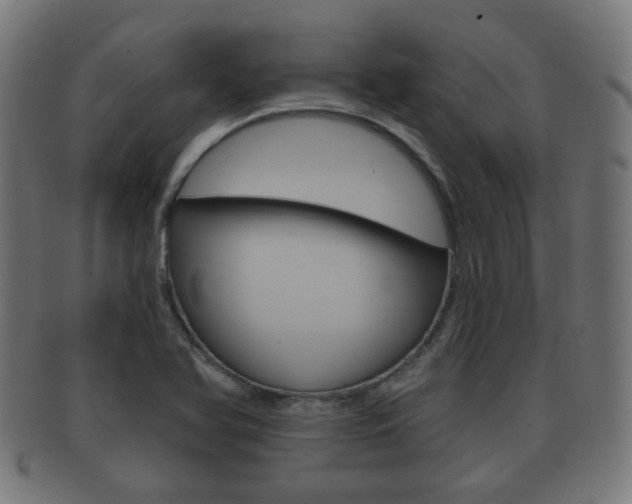 X0000091911366200709051203