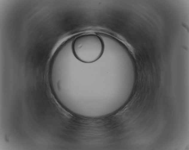 X0000091911368200709051203