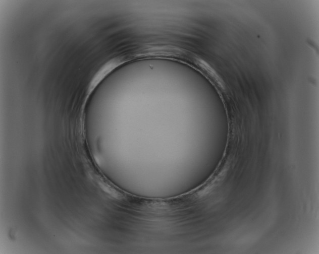 X0000091911370200709051203